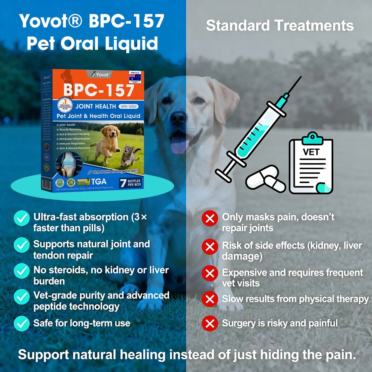AVA Recommended | Official  Australia 🇦🇺 Store 🐶🐱Yovot® BPC-157 Advanced Joint & Total Body Health Oral Liquid -(For Dogs, Cats & Mammals. One Bottle Daily, Results in 7 Days)