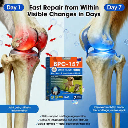 AVA Recommended | Official  Australia 🇦🇺 Store 🐶🐱Yovot® BPC-157 Advanced Joint & Total Body Health Oral Liquid -(For Dogs, Cats & Mammals. One Bottle Daily, Results in 7 Days)