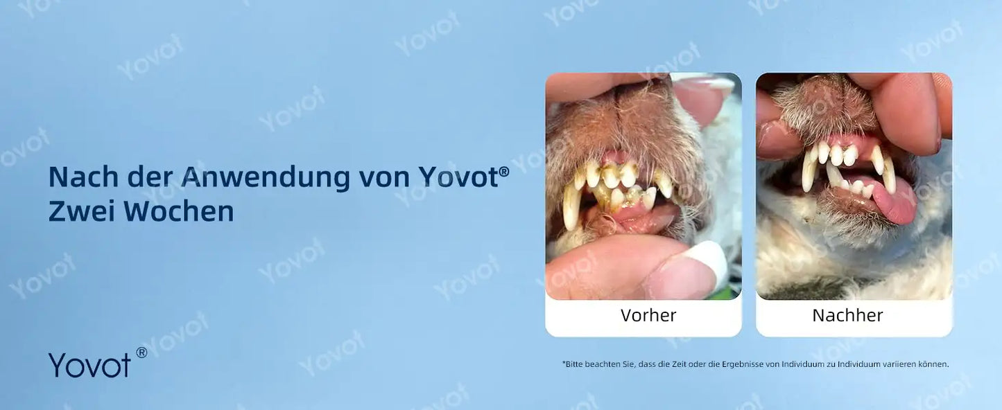 [Offizieller Shop] Yovot® Pet Dental & Digestive Health Oral Liquid – für frischen Atem, weniger Zahnstein, Förderung der Zahnfleischregeneration & stärkere, stabilere Zähne (für Katzen & Hunde) – Heute 70 % sparen!