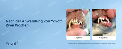 [Offizieller Shop] Yovot® Pet Dental & Digestive Health Oral Liquid – für frischen Atem, weniger Zahnstein, Förderung der Zahnfleischregeneration & stärkere, stabilere Zähne (für Katzen & Hunde) – Heute 70 % sparen!