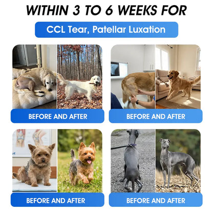 AVA Recommended | Official  Australia 🇦🇺 Store 🐶🐱Yovot® BPC-157 Advanced Joint & Total Body Health Oral Liquid -(For Dogs, Cats & Mammals. One Bottle Daily, Results in 7 Days)
