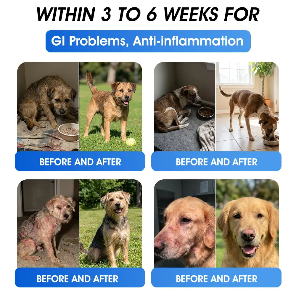 AVA Recommended | Official  Australia 🇦🇺 Store 🐶🐱Yovot® BPC-157 Advanced Joint & Total Body Health Oral Liquid -(For Dogs, Cats & Mammals. One Bottle Daily, Results in 7 Days)