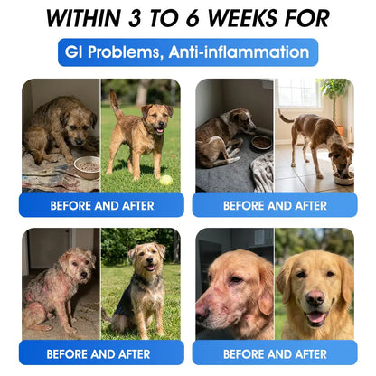 AVA Recommended | Official  Australia 🇦🇺 Store 🐶🐱Yovot® BPC-157 Advanced Joint & Total Body Health Oral Liquid -(For Dogs, Cats & Mammals. One Bottle Daily, Results in 7 Days)