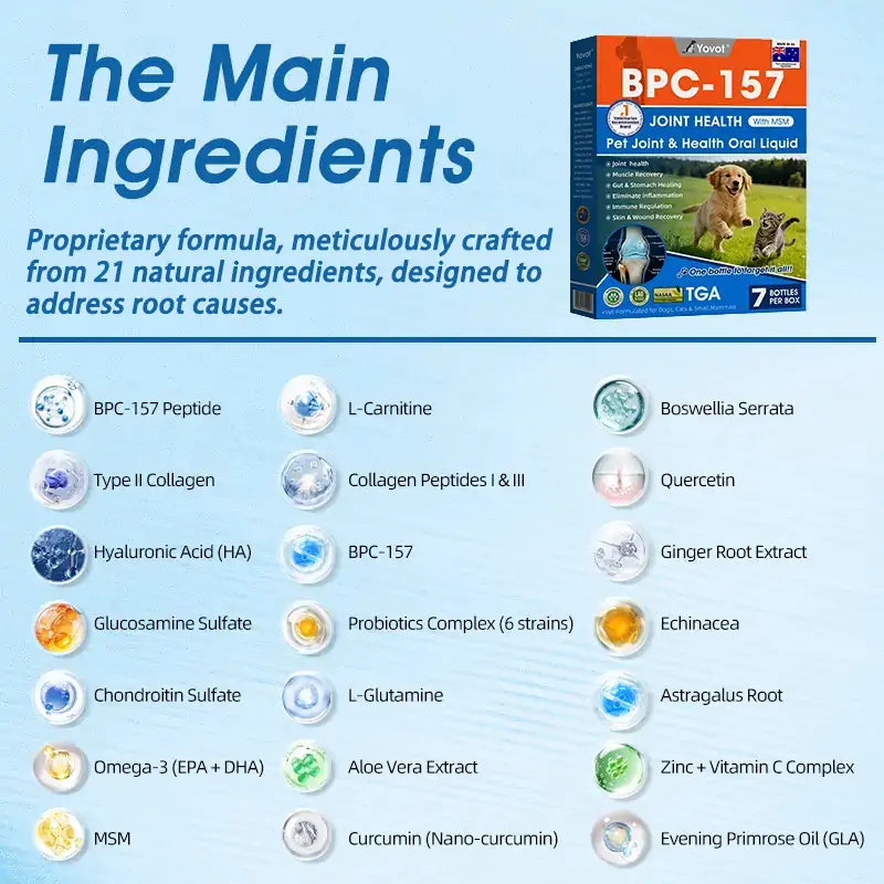 AVA Recommended | Official  Australia 🇦🇺 Store 🐶🐱Yovot® BPC-157 Advanced Joint & Total Body Health Oral Liquid -(For Dogs, Cats & Mammals. One Bottle Daily, Results in 7 Days)