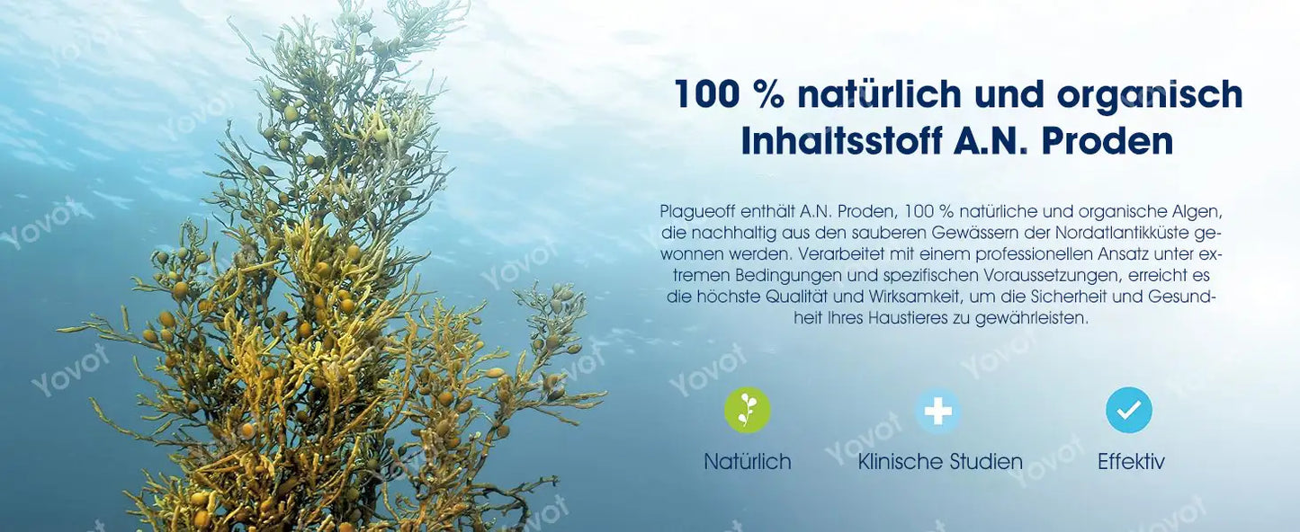 [Offizieller Shop] Yovot® Pet Dental & Digestive Health Oral Liquid – für frischen Atem, weniger Zahnstein, Förderung der Zahnfleischregeneration & stärkere, stabilere Zähne (für Katzen & Hunde) – Heute 70 % sparen!