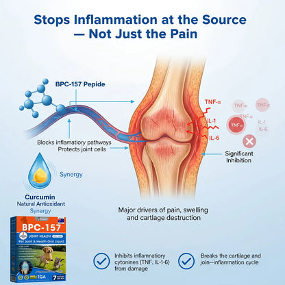 AVA Recommended | Official  Australia 🇦🇺 Store 🐶🐱Yovot® BPC-157 Advanced Joint & Total Body Health Oral Liquid -(For Dogs, Cats & Mammals. One Bottle Daily, Results in 7 Days)