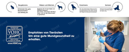 [Offizieller Shop] Yovot® Pet Dental & Digestive Health Oral Liquid – für frischen Atem, weniger Zahnstein, Förderung der Zahnfleischregeneration & stärkere, stabilere Zähne (für Katzen & Hunde) – Heute 70 % sparen!