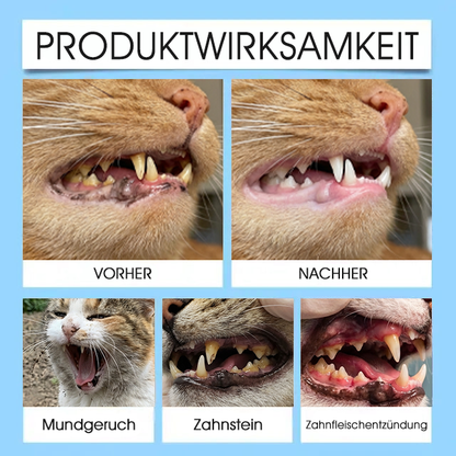 [Offizieller Shop] Yovot® Pet Dental & Digestive Health Oral Liquid – für frischen Atem, weniger Zahnstein, Förderung der Zahnfleischregeneration & stärkere, stabilere Zähne (für Katzen & Hunde) – Heute 70 % sparen!